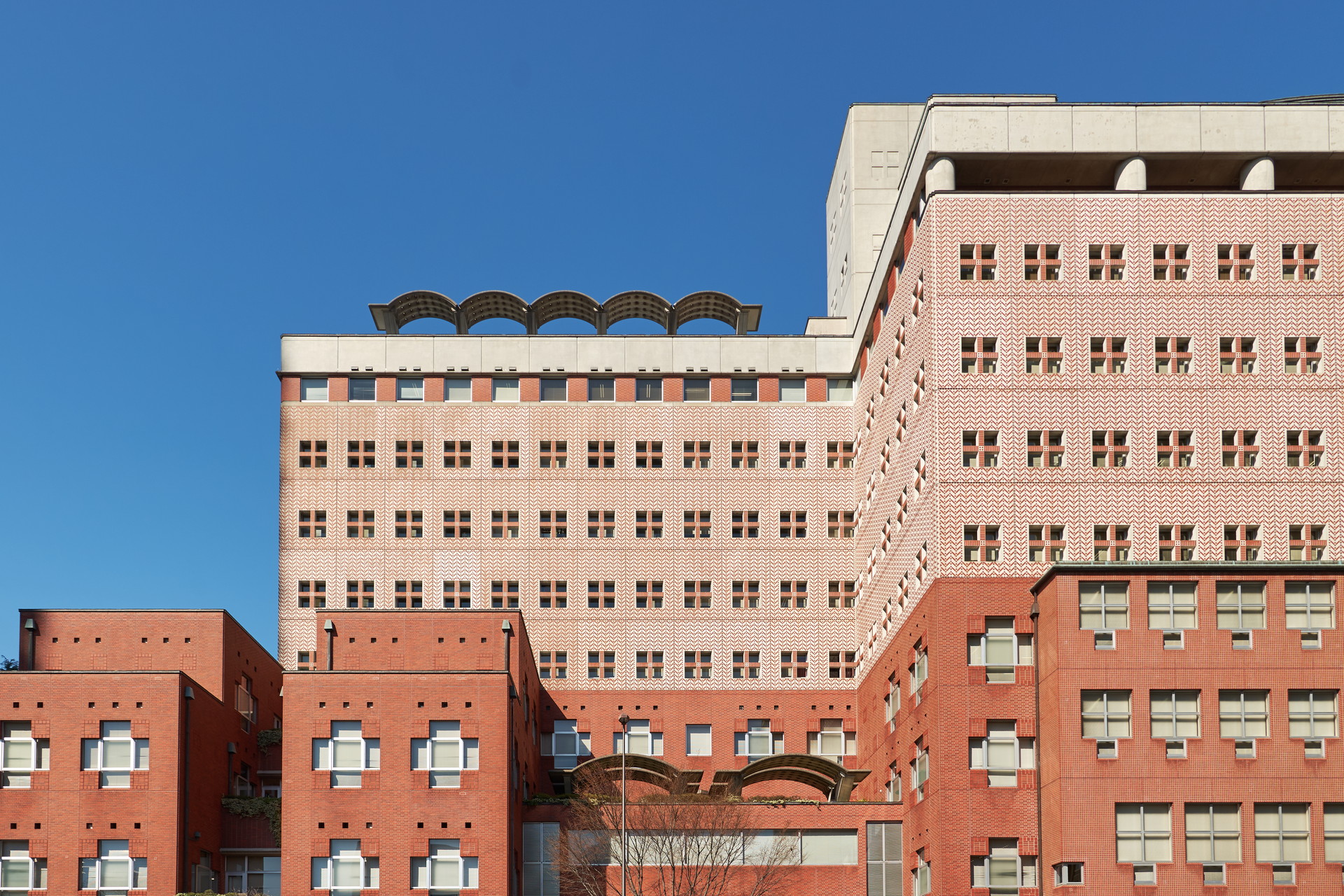 明治学院大学明治学院大学